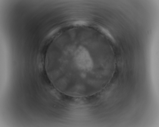 X0000113921015200910011508