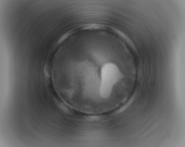 X0000113921017200910011508