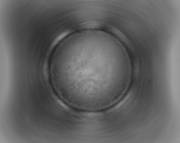 X0000113921018200910011508