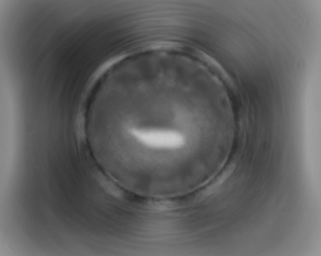 X0000113921019200910011508