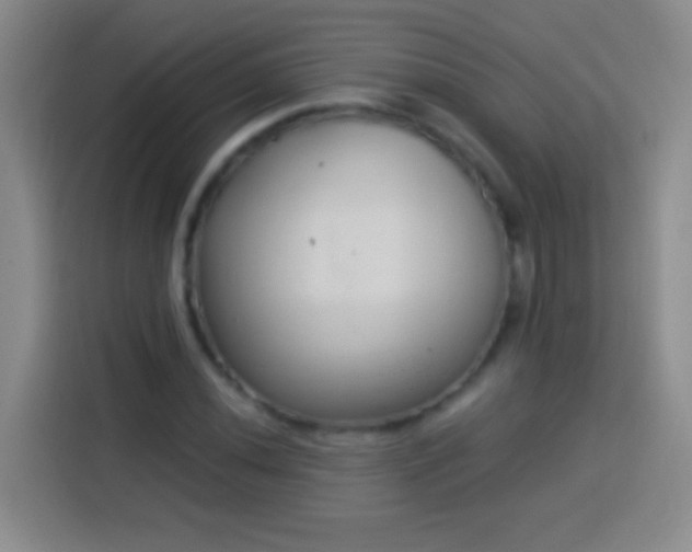 X0000113921020200910011508