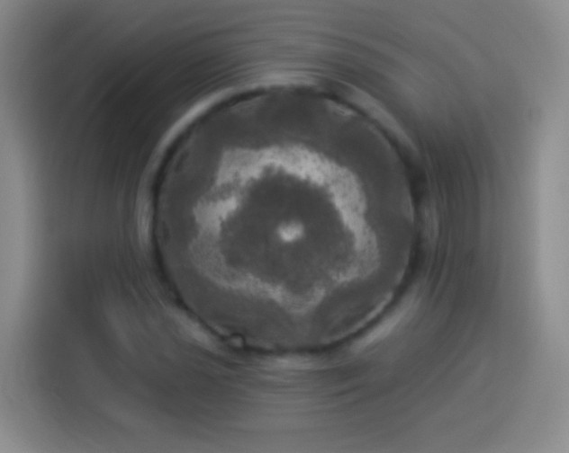 X0000113921021200910011508