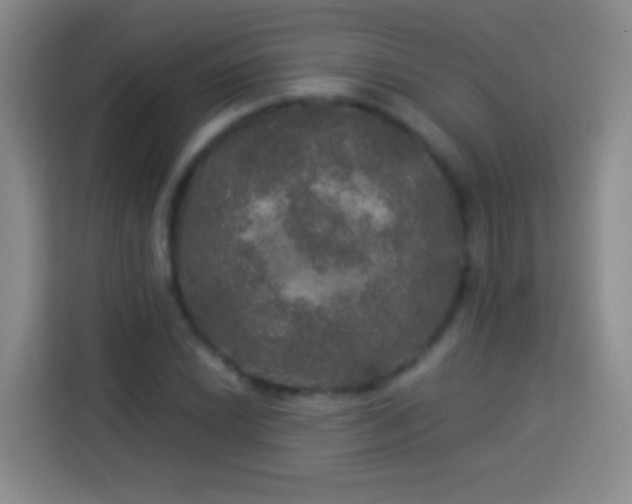 X0000113921022200910011508