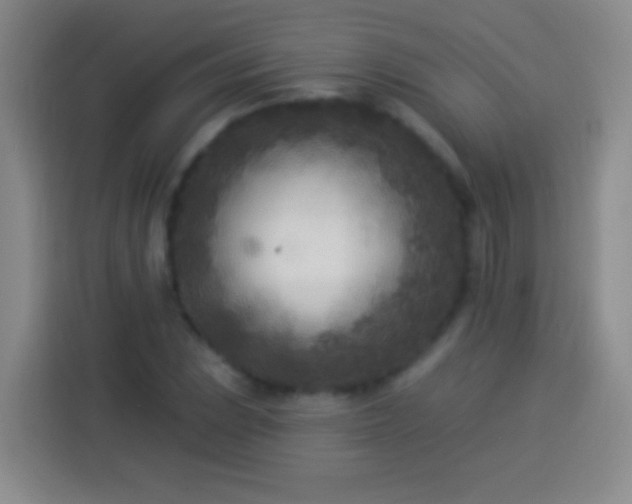 X0000113921023200910011508