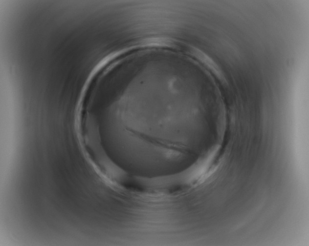 X0000113921024200910011508