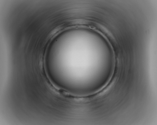 X0000113921025200910011508