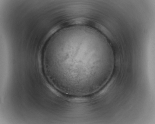 X0000113921026200910011508