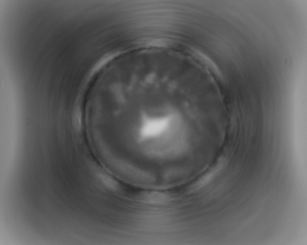 X0000113921027200910011508