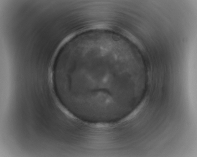 X0000113921029200910011508