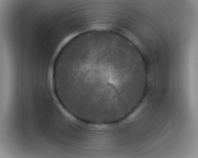 X0000113921030200910011508