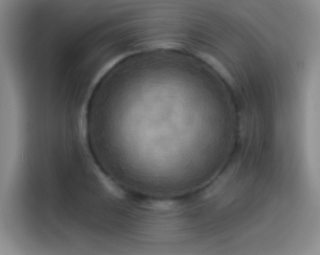 X0000113921031200910011508