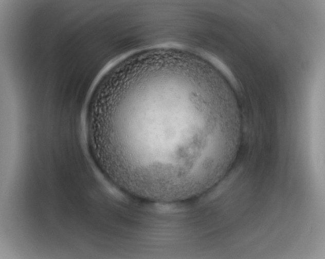 X0000113921032200910011508