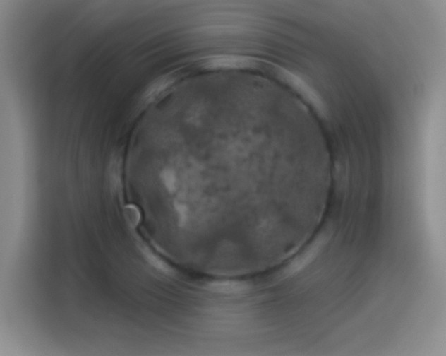 X0000113921033200910011508