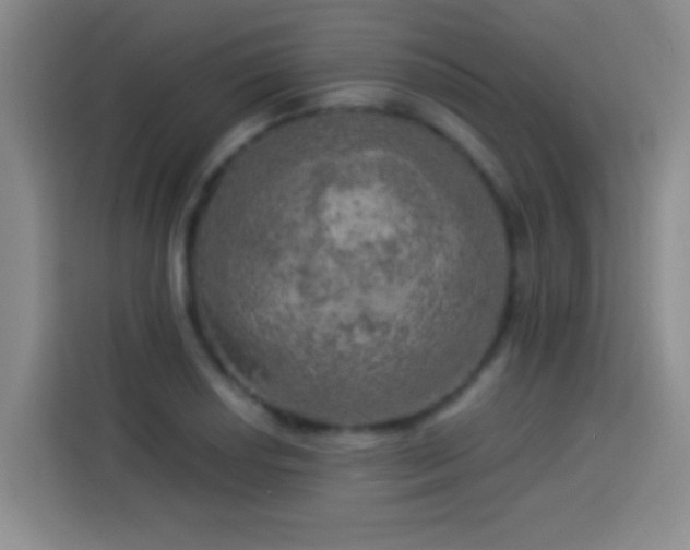 X0000113921034200910011508