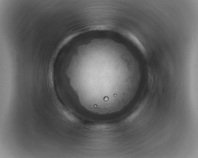 X0000113921035200910011508