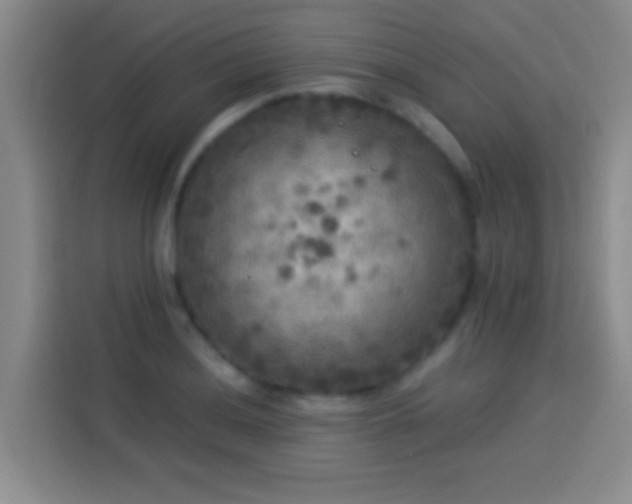 X0000113921036200910011508