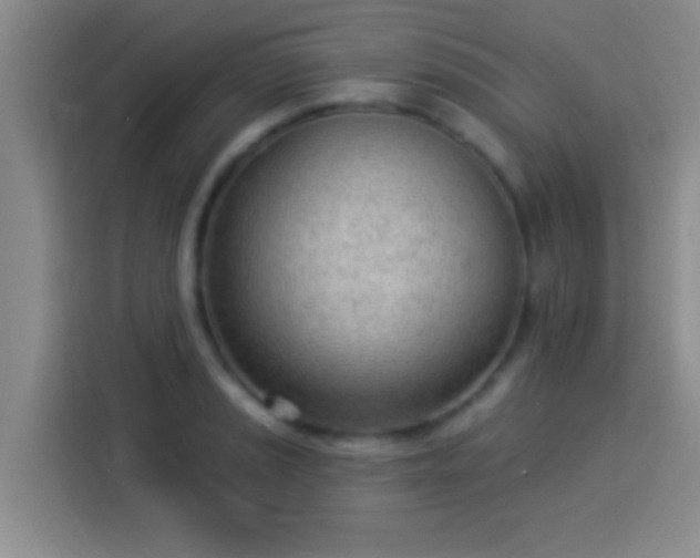 X0000113921037200910011508