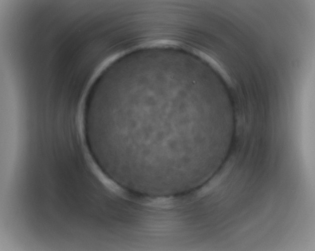 X0000113921038200910011508