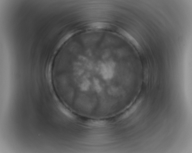 X0000113921039200910011508