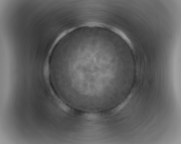 X0000113921040200910011508