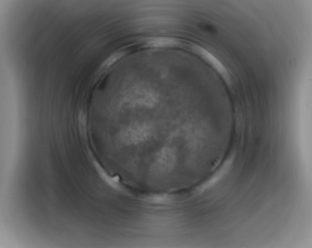 X0000113921041200910011508