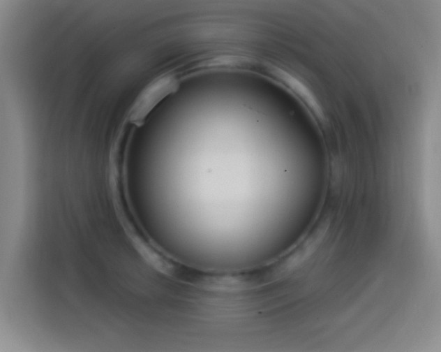 X0000113921042200910011508