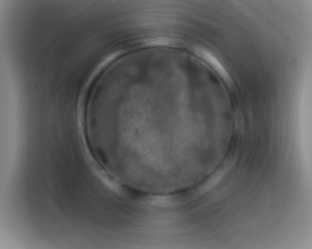 X0000113921043200910011508