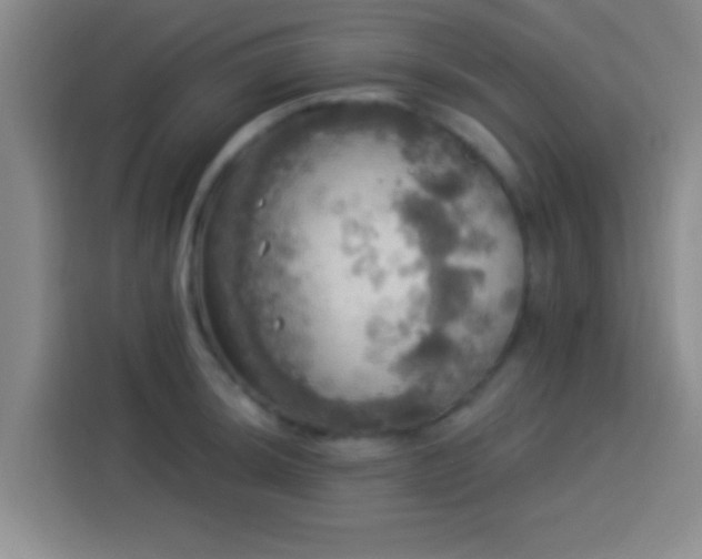 X0000113921044200910011508