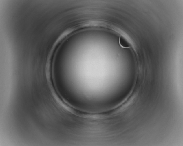 X0000113921045200910011508