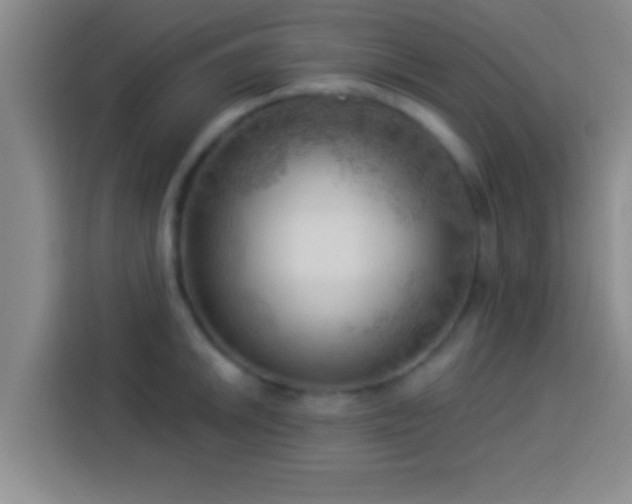 X0000113921046200910011508