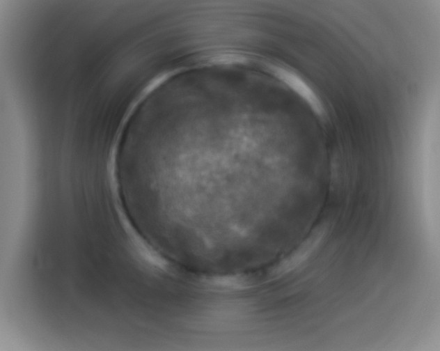 X0000113921047200910011508
