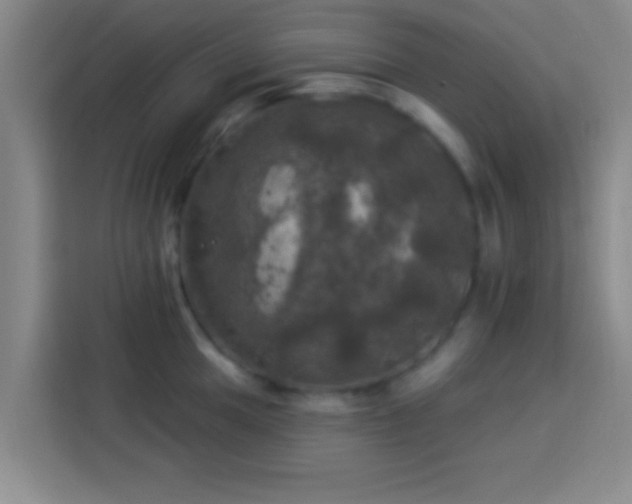 X0000113921049200910011508