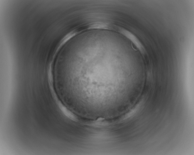 X0000113921050200910011508