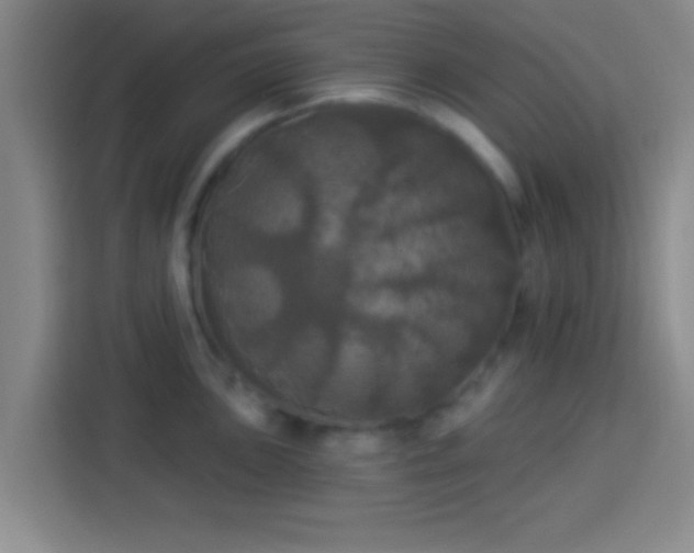 X0000113921051200910011508