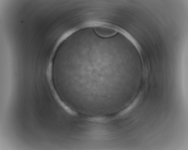 X0000113921053200910011508