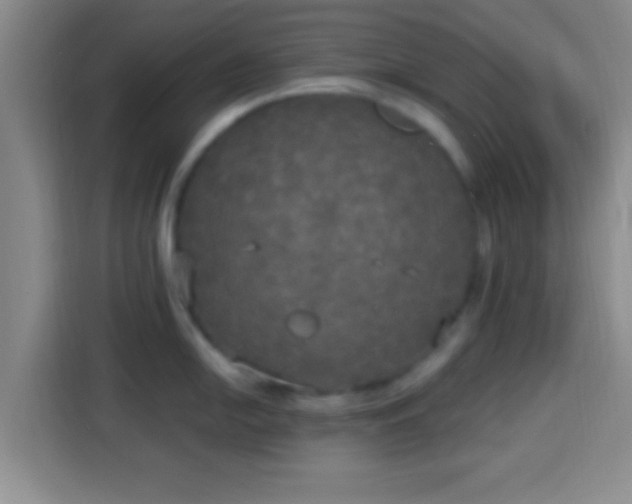 X0000113921054200910011508