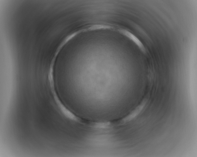 X0000113921055200910011508