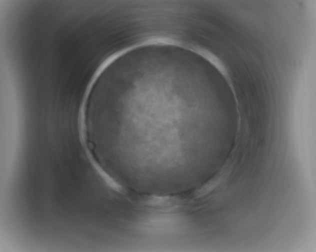 X0000113921056200910011508