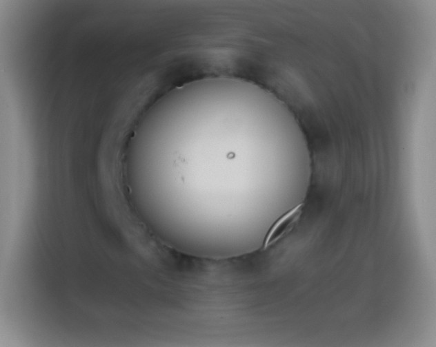 X0000113921057200910011507
