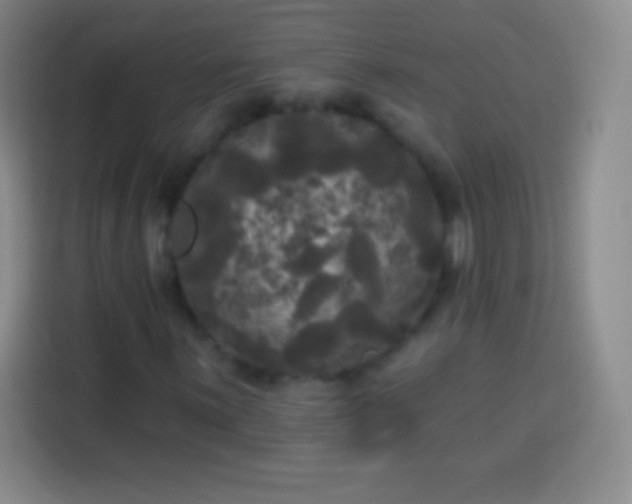 X0000113921059200910011507