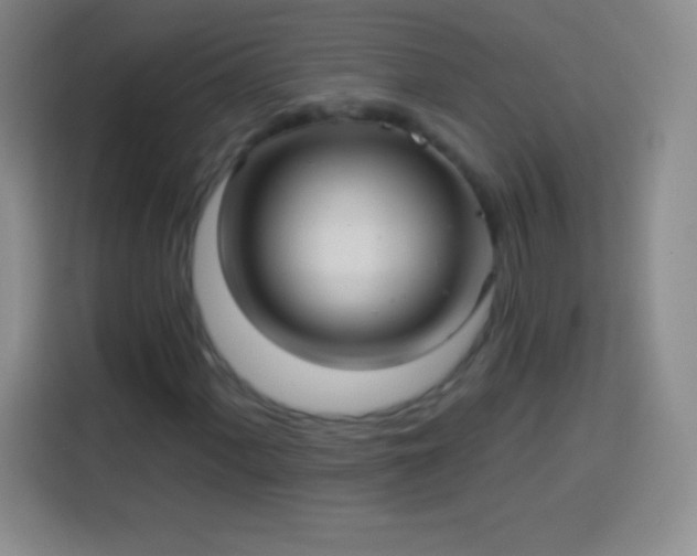X0000113921060200910011507