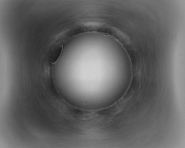 X0000113921061200910011507