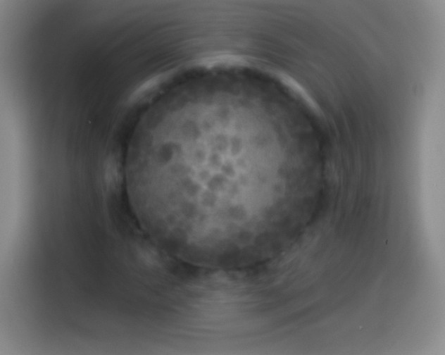 X0000113921063200910011507