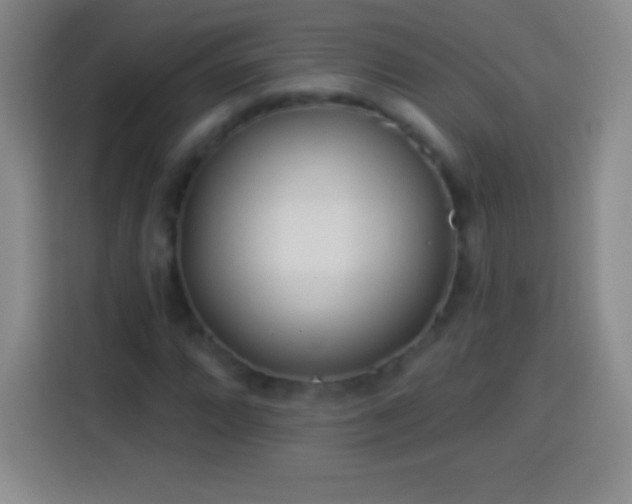 X0000113921064200910011507