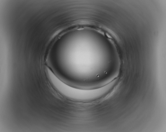X0000113921065200910011507