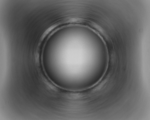 X0000113921066200910011507