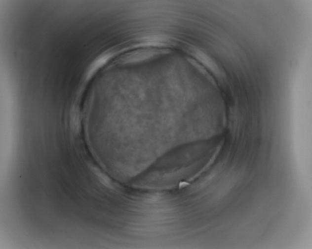X0000113921067200910011507
