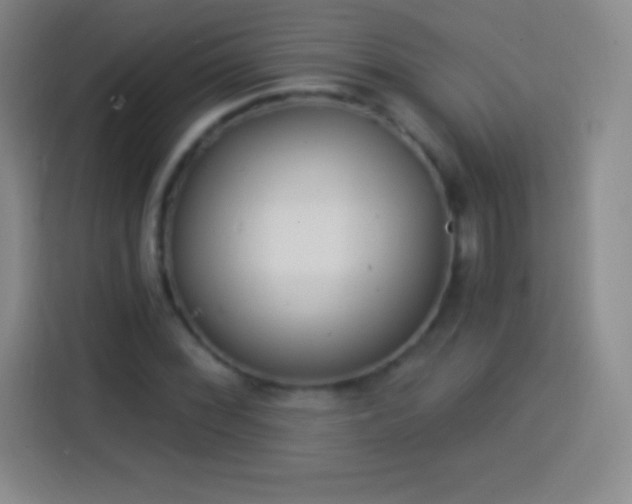 X0000113921068200910011507