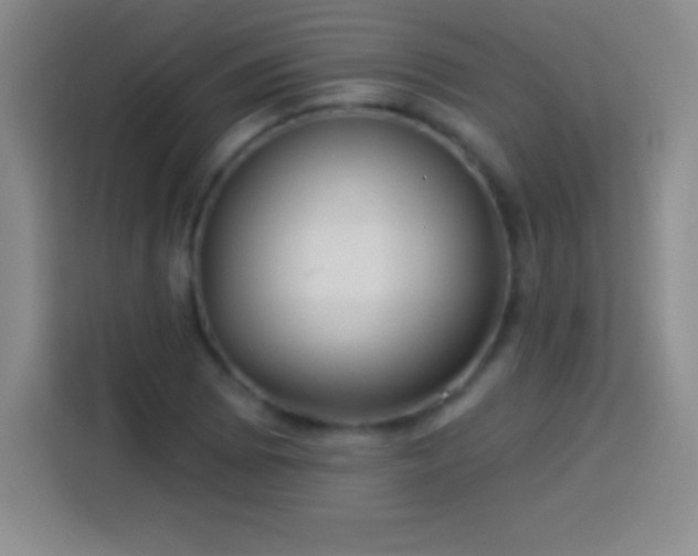 X0000113921073200910011507