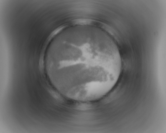 X0000113921074200910011507